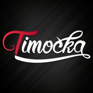 TIMOČKA DOO ZAJEČAR – Izrada web portala i sajtova | Zaječar Info
